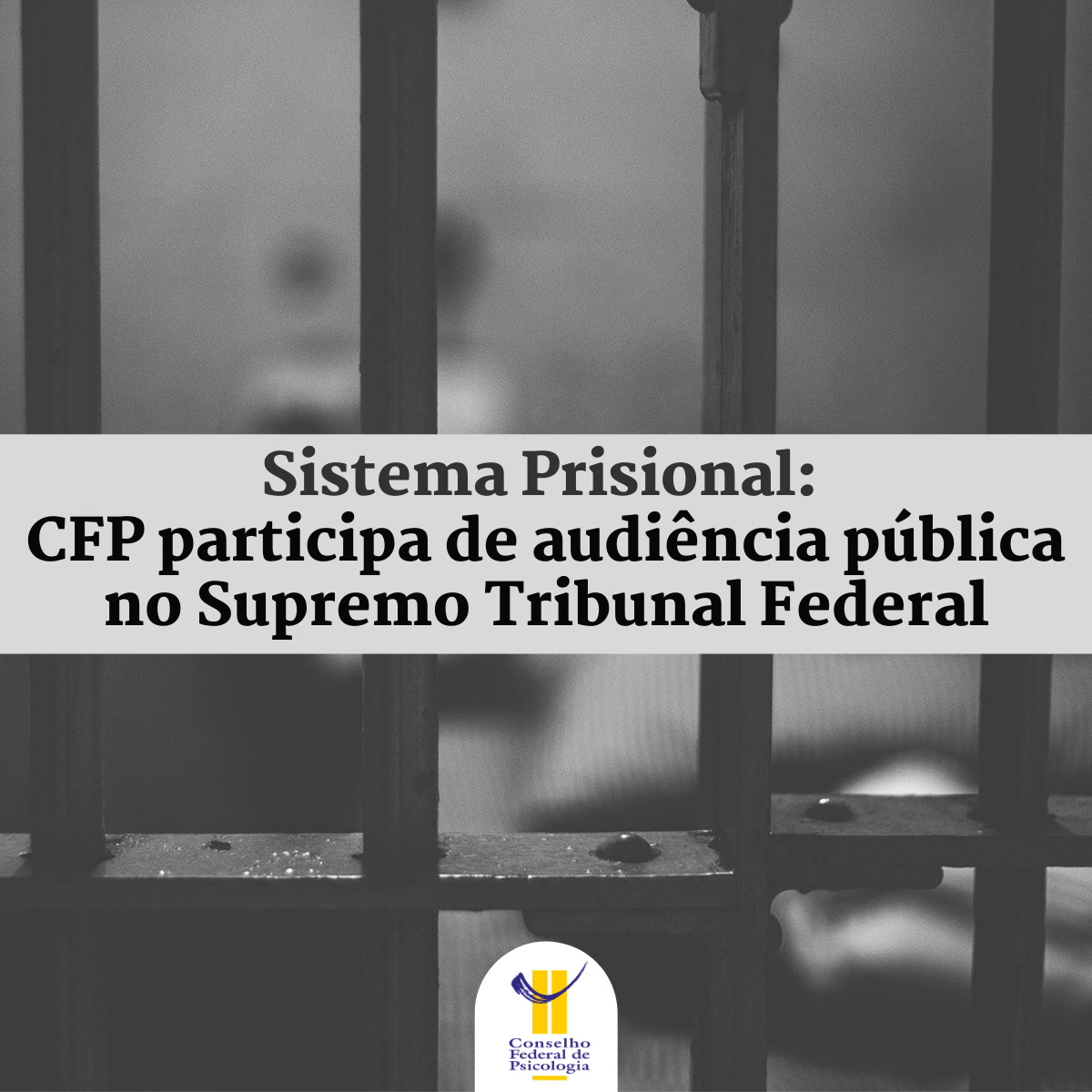 CFP participa de audiência pública no STF sobre fiscalização do sistema