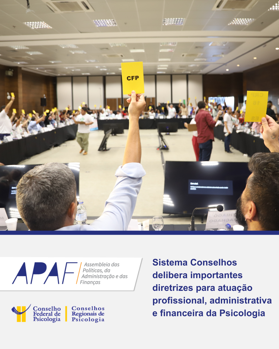 APAF Sistema Conselhos delibera importantes diretrizes para atuação