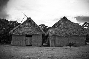 Denúncia não confirmada de massacre de índios Yanomami na Venezuela preocupa CFP