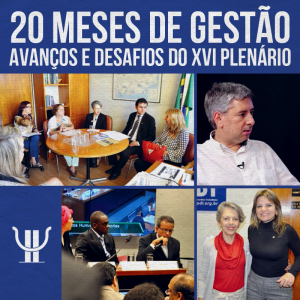 20 meses de gestão: avanços e desafios do XVI Plenário