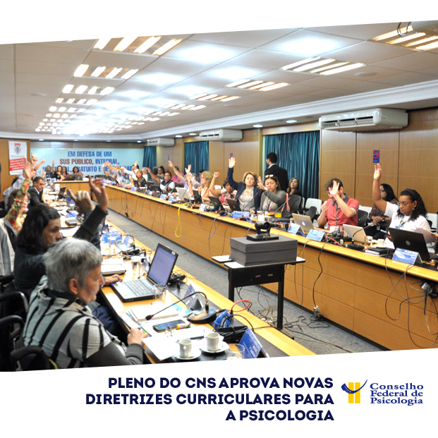 Na foto, membros do CNS estão com as mãos levantadas, votando pela aprovação das DCNs em Psicologia