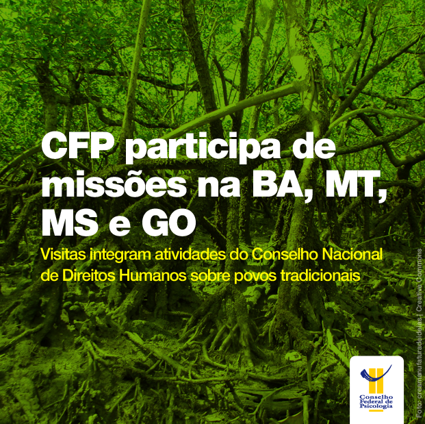 Imagem de cena pantaneira mostra título da matéria acima: "CFP participa de missões na BA, MT, MS e GO" e o logo do CFP abaixo à direita
