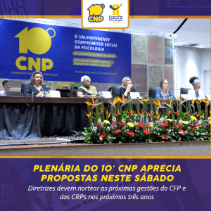 Plenária do 10° CNP aprecia propostas neste sábado