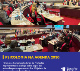 CFP leva debate sobre agenda 2030 e compromisso com a luta antirracista aos Conselhos Federais de Profissões Regulamentadas