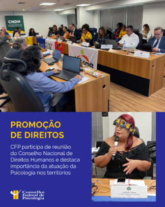 Plenário 2.0 do CFP toma posse no Conselho Nacional de Direitos Humanos